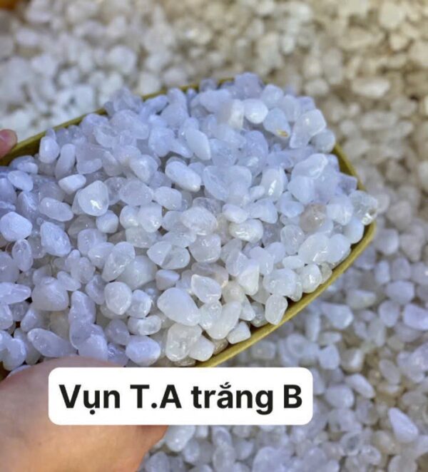 đá thạch anh ở hồ chí minh