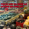 đá thạch anh tại nghệ an