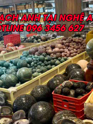 đá thạch anh tại nghệ an